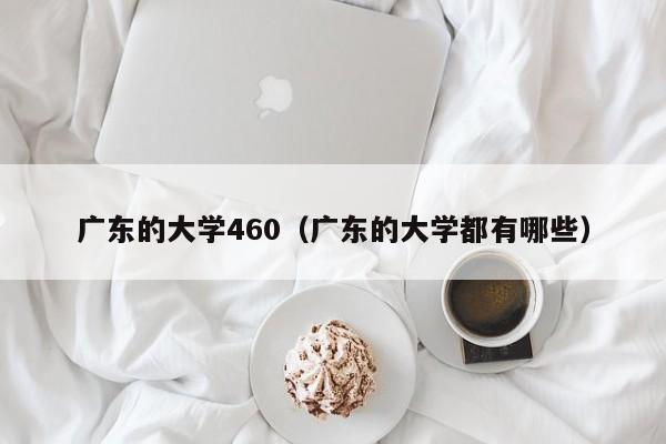 广东的大学460(广东的大学都有哪些)