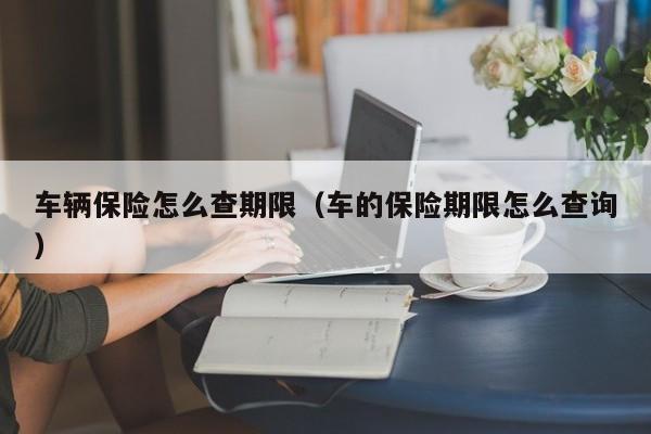 车辆保险怎么查期限(车的保险期限怎么查询)